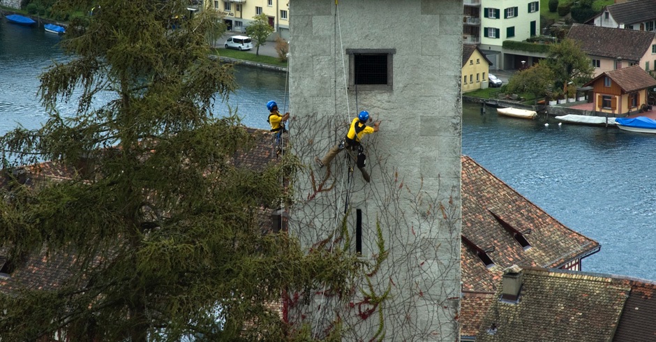 VERTIC Seilarbeiten Munot Baumpflege Mauerunterhalt an Kirchtürmen