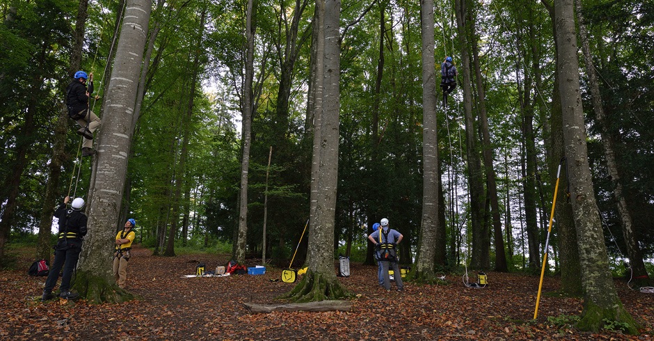 VERTIC_T5-Klettern_Geocaching_Grundkurs_Baumklettern_Abseilen_Terrain5_Sicherheit_BigShot